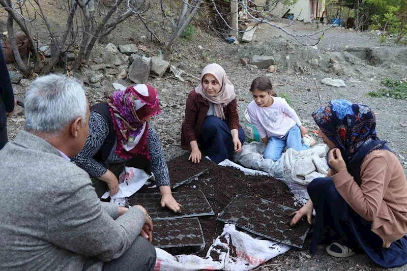 Fidelerini kendileri yetiştiriyorlar
