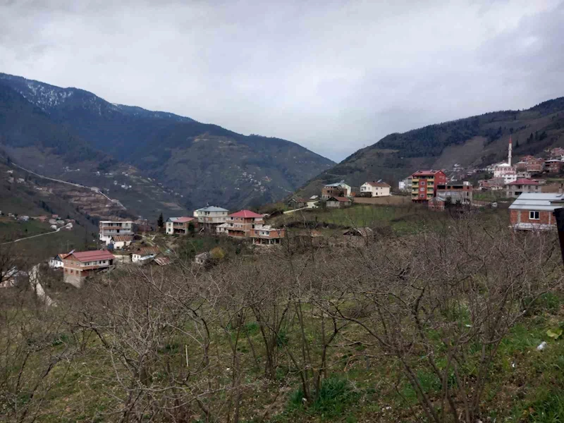 Danıştay kararını verdi; 35 yıl sonra Giresun’a bağlandılar
