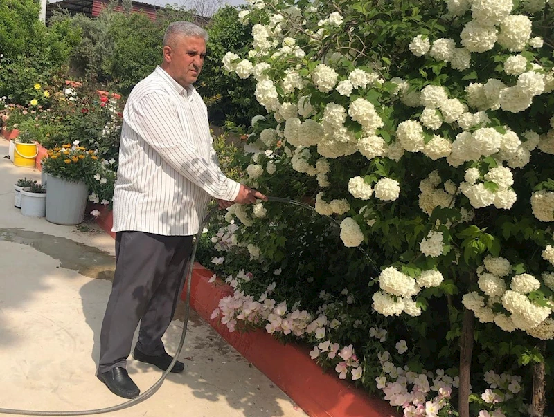 İmam, camiyi çiçek bahçesine çevirdi
