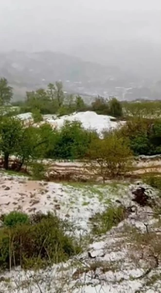 Yaz geldi derken, İzmir Ödemiş beyaza büründü
