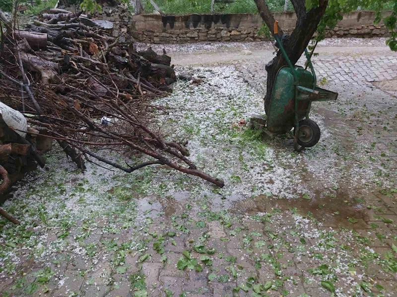 Aydın’da dolu sürprizi
