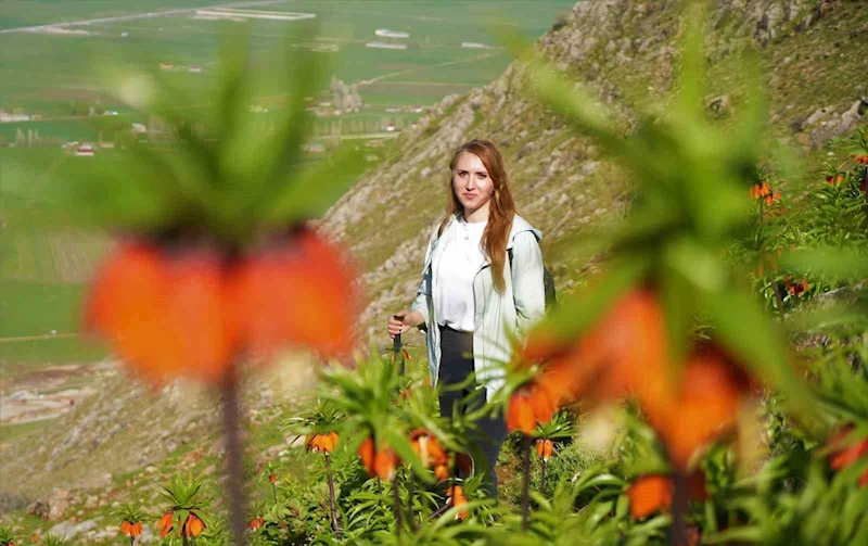 Ters laleler için 3 saat yürüdüler
