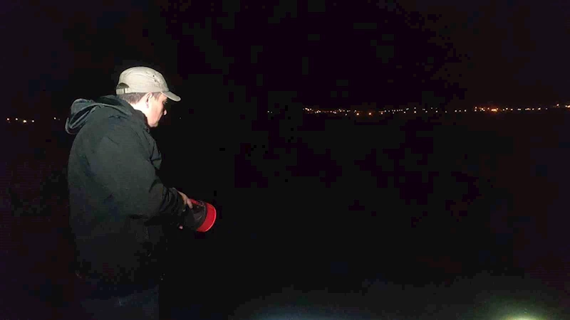 İnci kefalinin tatlı sulara göçü başladı
