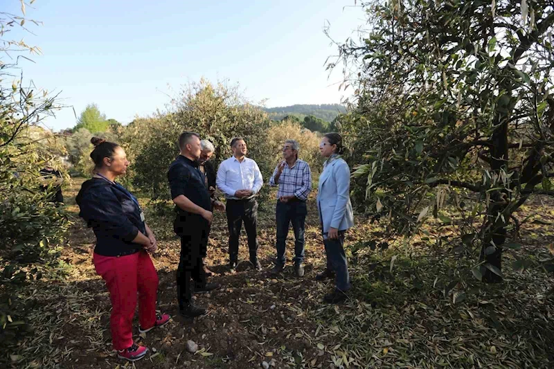 Zirai don zararını azaltmak için narenciye üreticilerine gübre dağıtıldı
