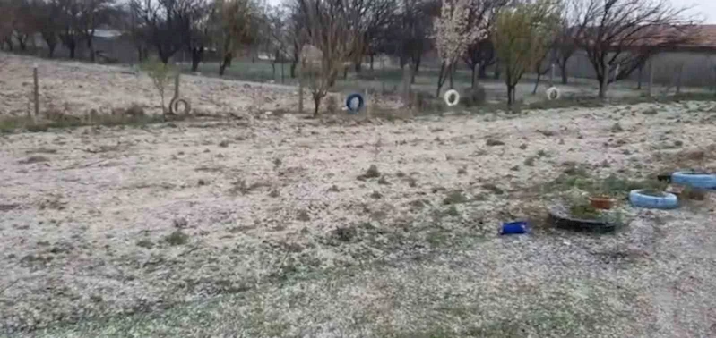 Dolu, hububatta kök hastalığına davetiye çıkardı
