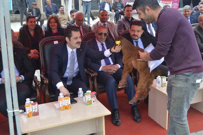 Iğdır’da güzellik yarışması düzenlendi
