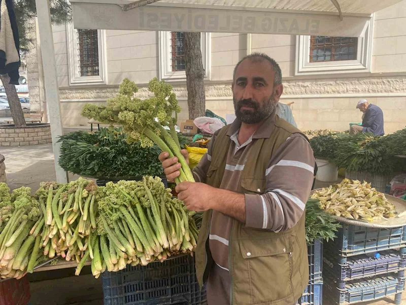 Şifa deposu ışkın, tezgahtaki yerini aldı
