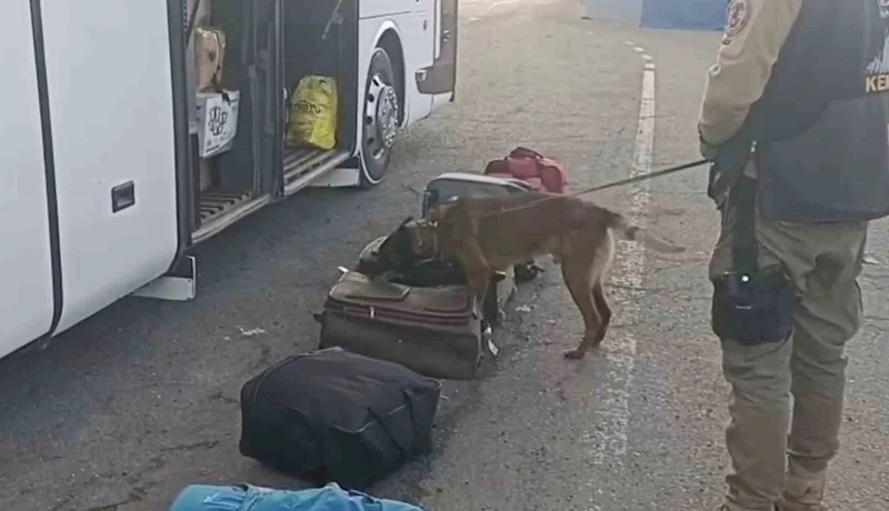Erzurum’da narko operasyon

