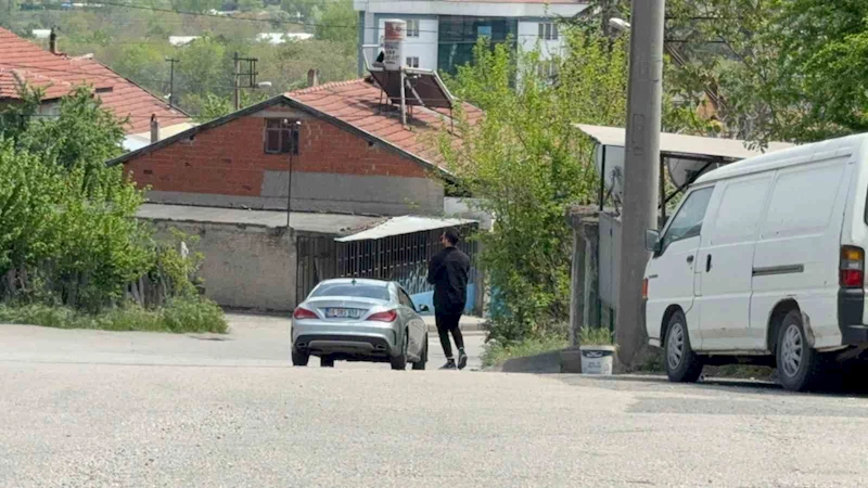 Duyarlı sürücü ve vatandaş, kaplumbağaları ezilmekten kurtardı
