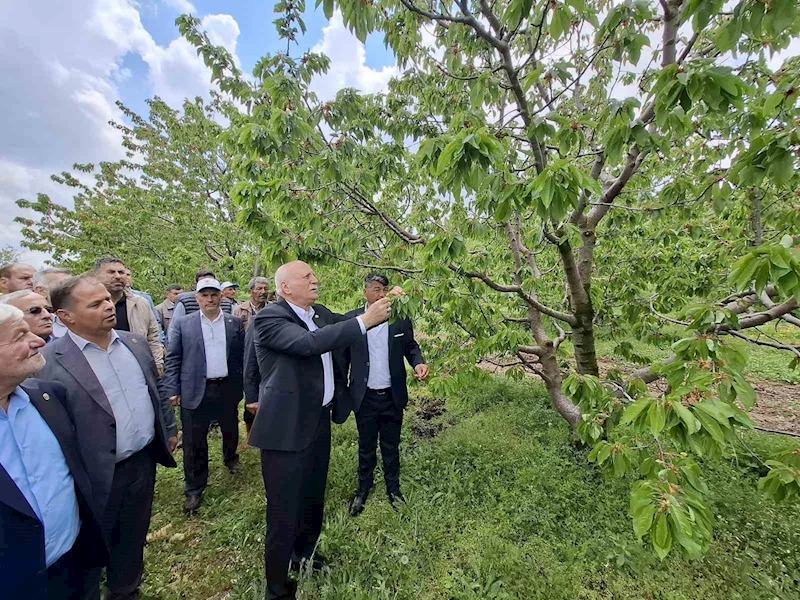 TZOB Başkanı Bayraktar, Akşehir’de zirai dondan etkilenen bahçeleri inceledi
