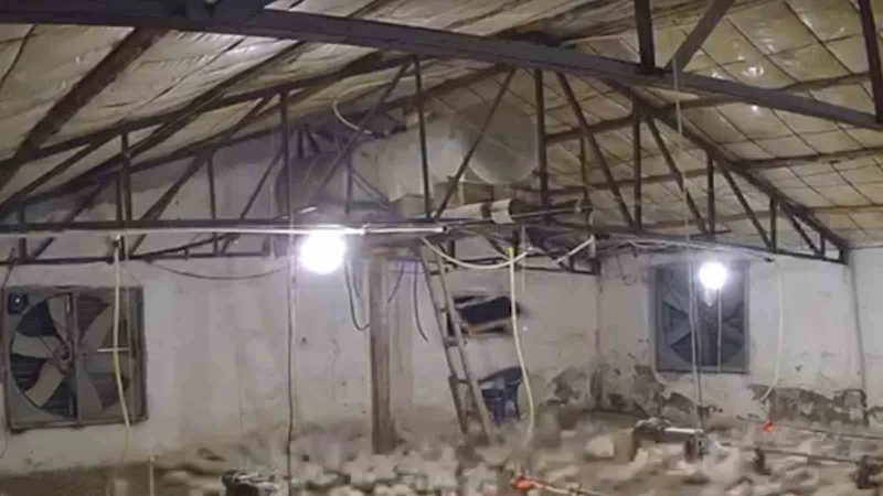 Bolu’da kümese girmeye çalışan ayı kamerada
