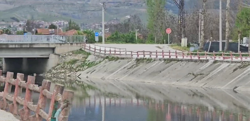 Yeşilırmak Nehri’nde balık ölümleri incelemeye alındı
