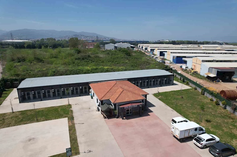 Kahraman köpek Proteo’nun adının yaşadığı merkez, sokak hayvanlarına şifa dağıtıyor

