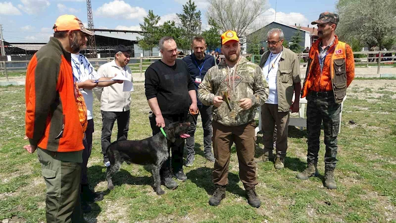 Kütahya’da Fermalı Av Köpekleri Mera Yarışması düzenlendi
