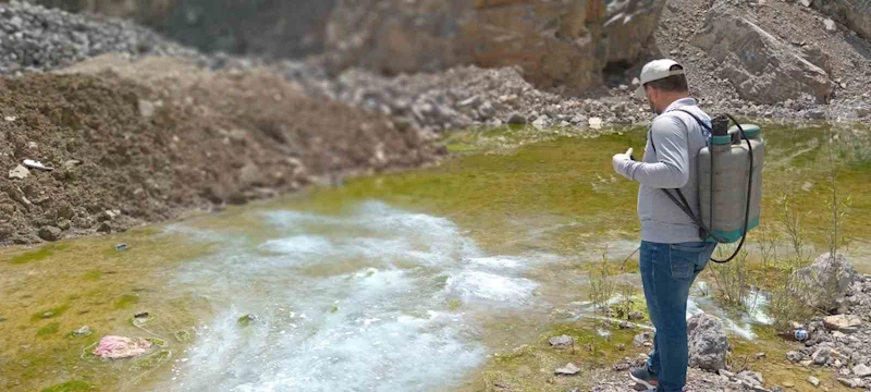 Hakkari’de yaz öncesi larva seferberliği
