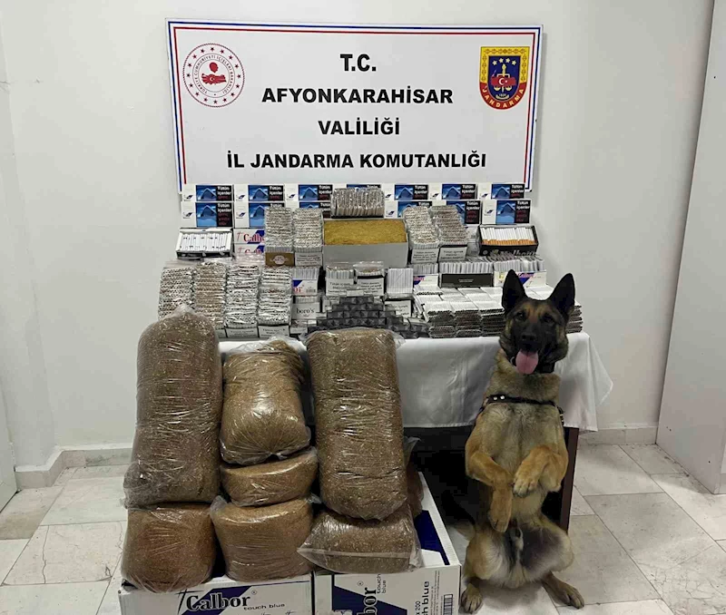 Jandarmadan kaçak makaron operasyonu

