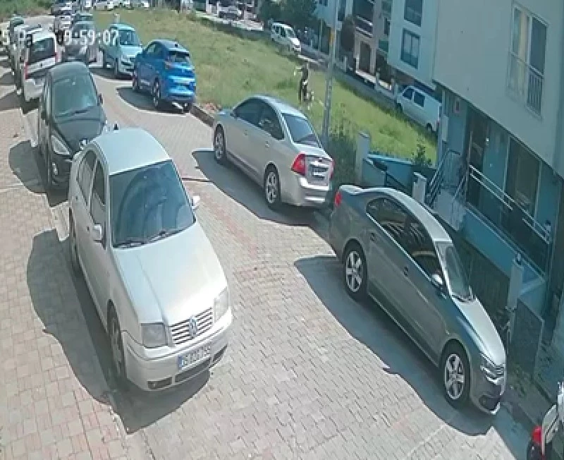 Aydın’da sınava giden öğrenciye köpek saldırdı
