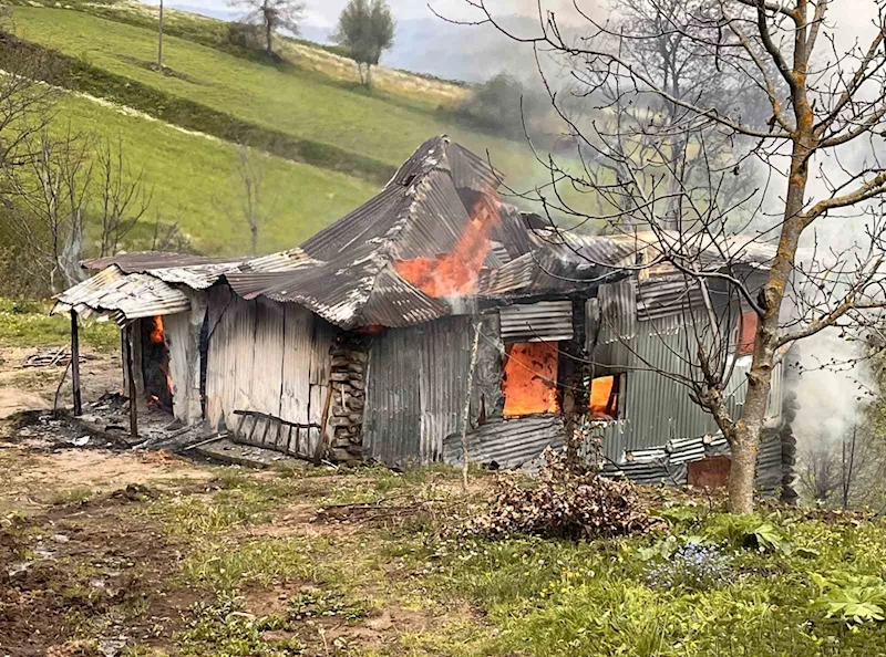 Ordu’da yaşlı adamın evi, çıkan yangında küle döndü
