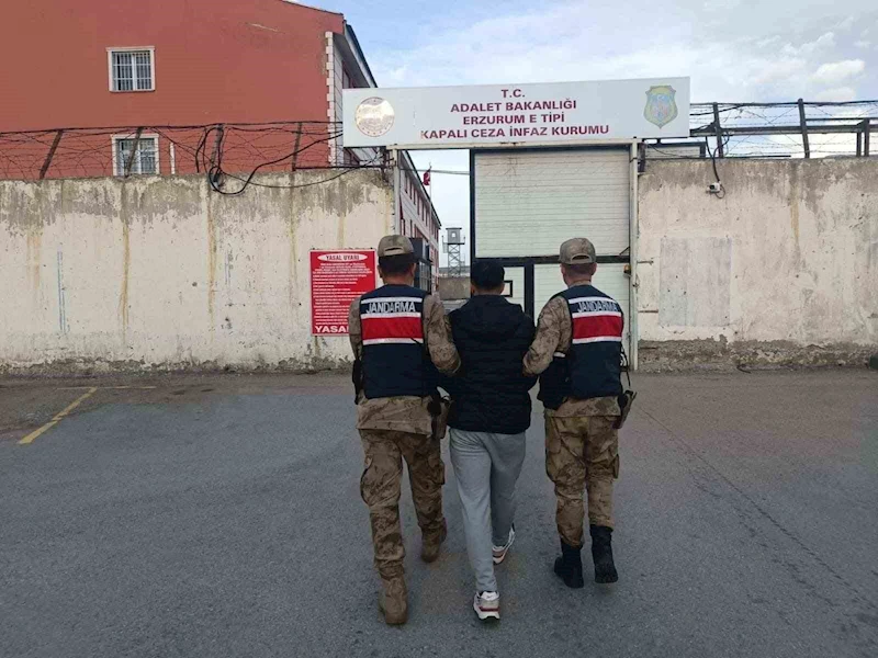 Jandarmadan düzensiz göçmenlere operasyon
