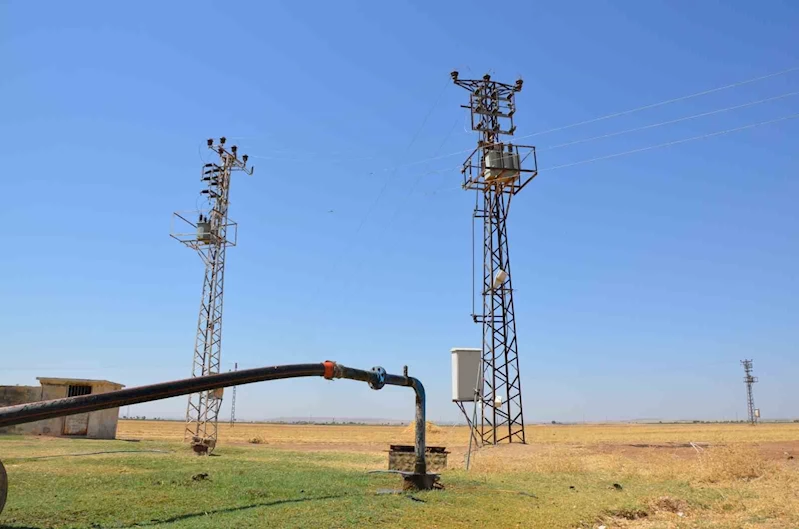 Kaçak elektrik Türkiye’de elektrik arzını tehdit ediyor
