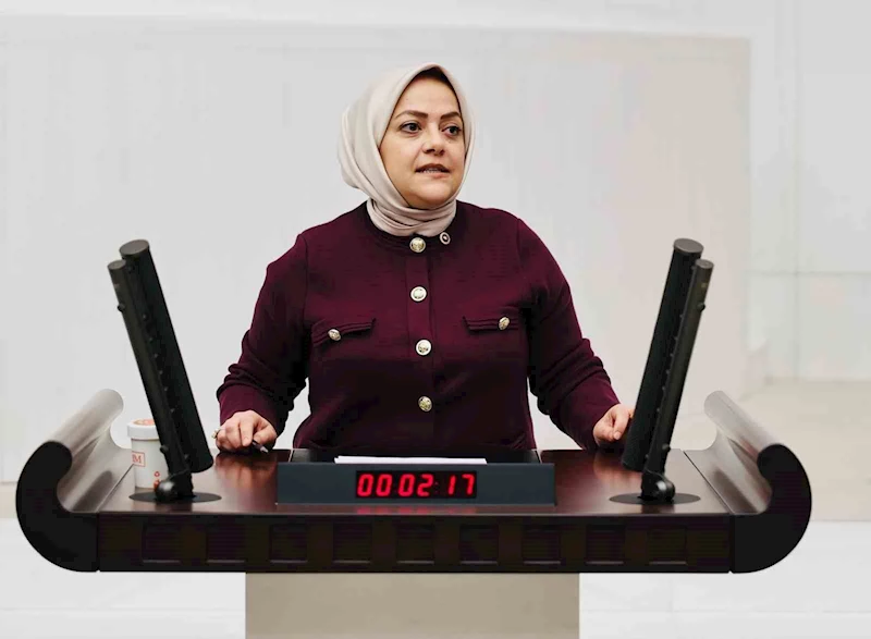 Milletvekili Ün; 