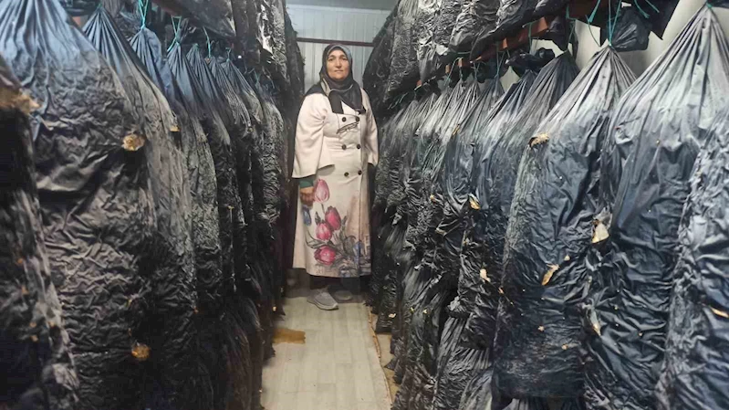 Malatyalı kadınlar konteynerde üretim yapıyor
