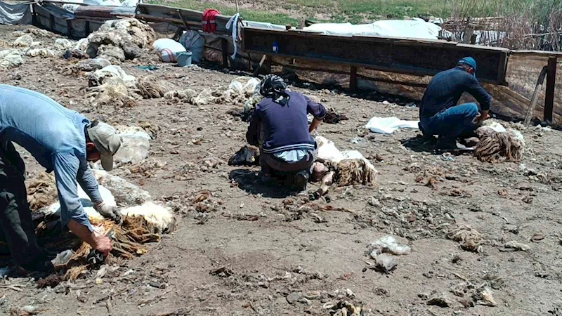 Batman’da yaylada kalan göçerler peynir üretiyor

