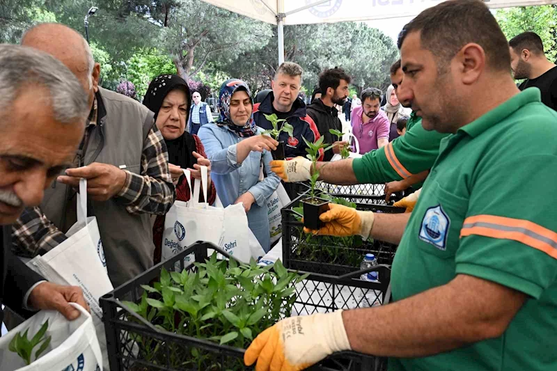 Yıldırım Belediyesi’nden 50 bin fide

