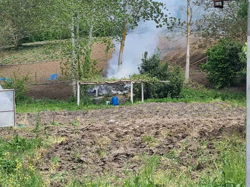 Sinop’ta tarlada yangın paniği
