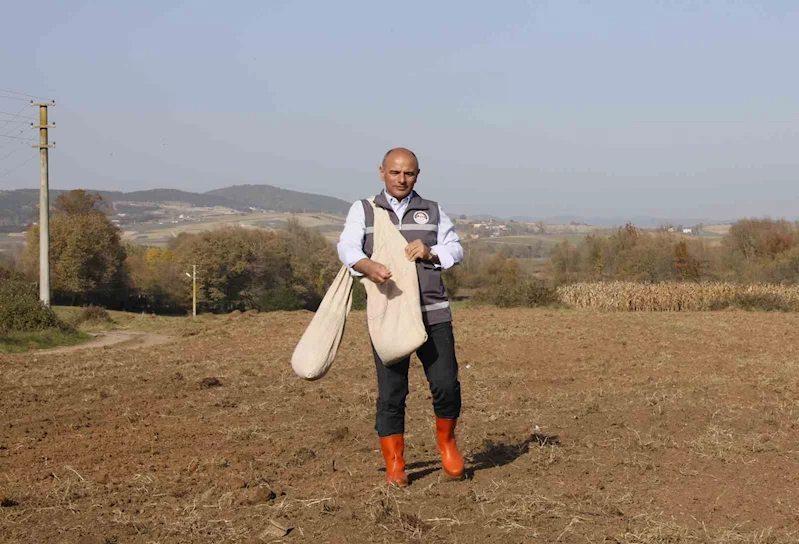 Başkan Söğüt: 