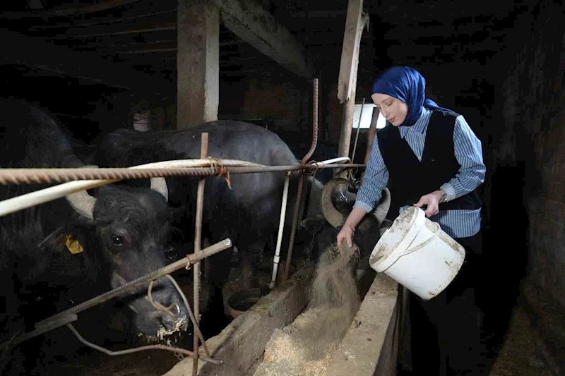 Ticari süt işletmelerince 1 milyon 15 bin 647 ton inek sütü toplandı
