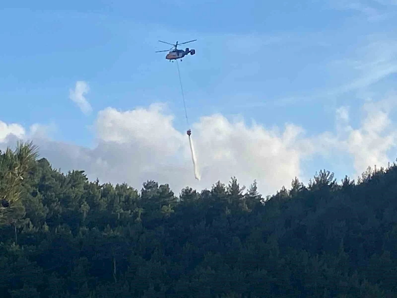 Hatay’da orman yangını
