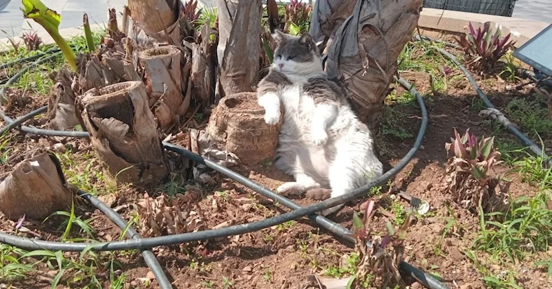 İşçiler çalıştı, o keyfini bozmadı
