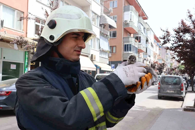 Yalova’da çatıdan düşen yavru martıyı itfaiye kurtardı
