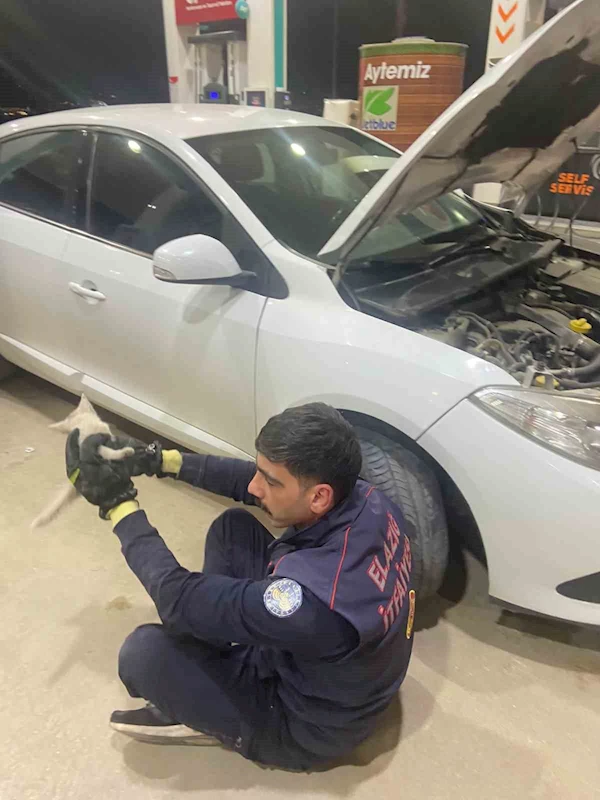 Elazığ’da aracın motor kısmına sıkışan kedi, itfaiye tarafından kurtarıldı
