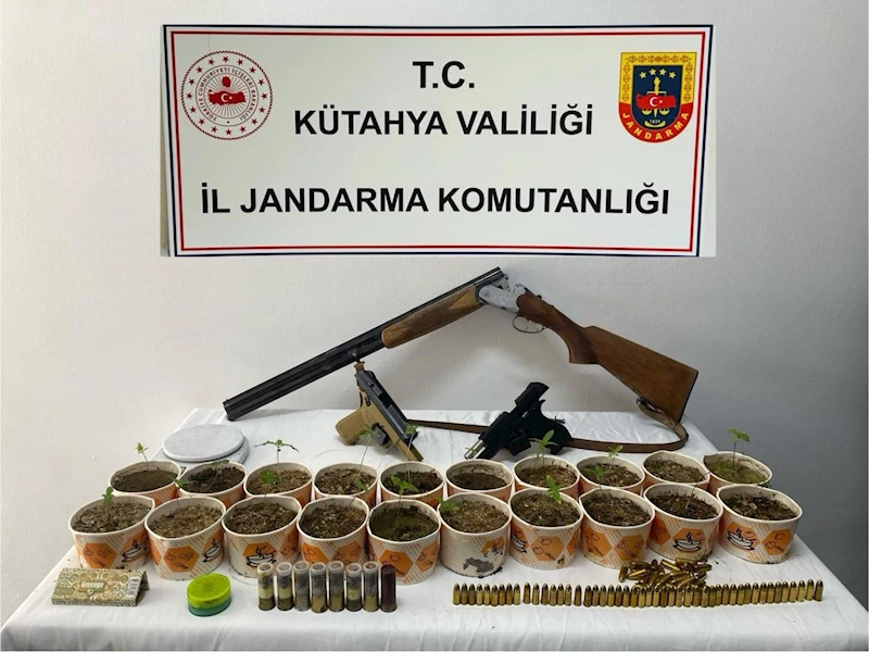 Jandarmadan kenevir operasyonu
