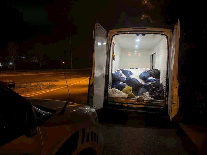 Samsun’da 3,8 ton kaçak avlanmış midye ele geçirildi
