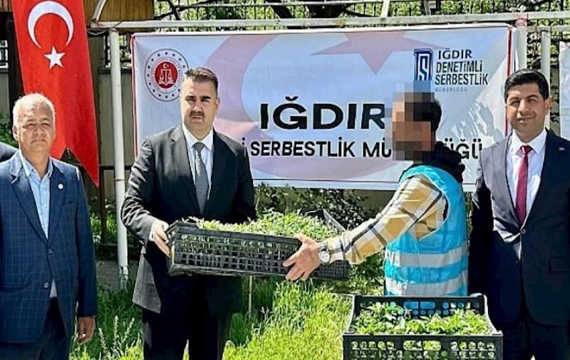 Başsavcı Dede: 
