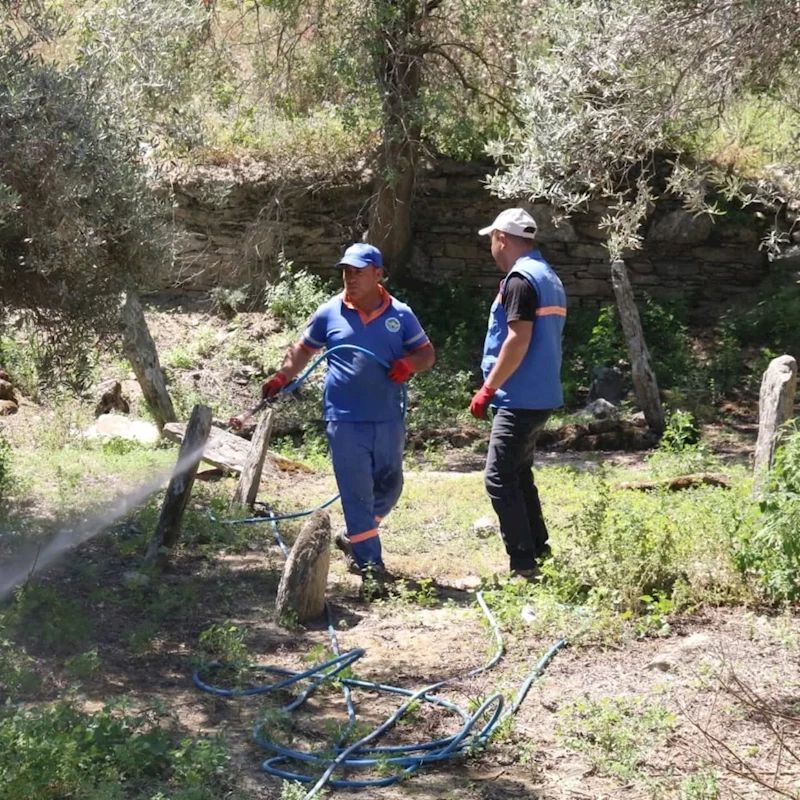 Direcik Mahallesi’nde belediye ekipleri iş başı yaptı
