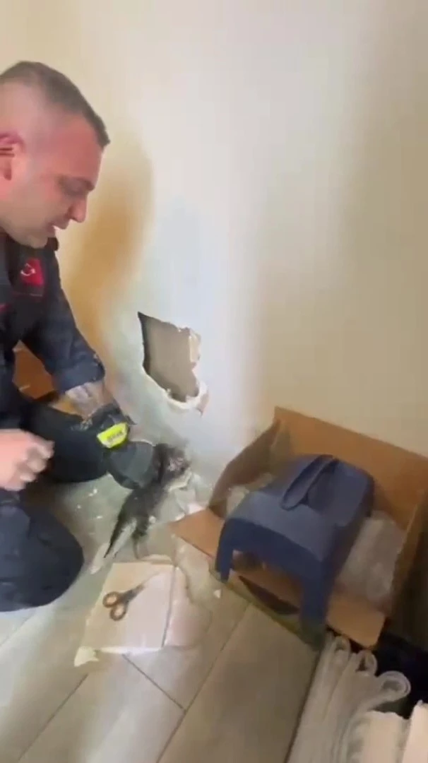 Yavruları duvar arasında mahsur kalan kedinin imdadına itfaiye ekipleri yetişti
