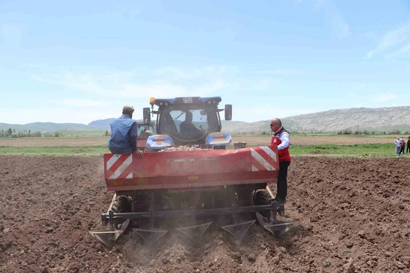 Sivas’ta tohumluk patatesler toprakla buluştu
