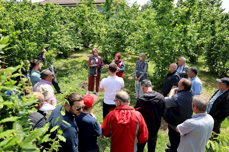 Sakarya’da kahverengi kokarca kabusuyla mücadele başladı: sahada çiftçilere feromon tuzağı ulaştırılıyor

