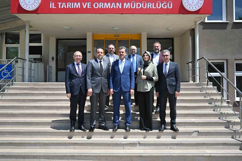 Endüstriyel yemek sektörü, ruhsatsız üretim yapan işletmelerden rahatsız
