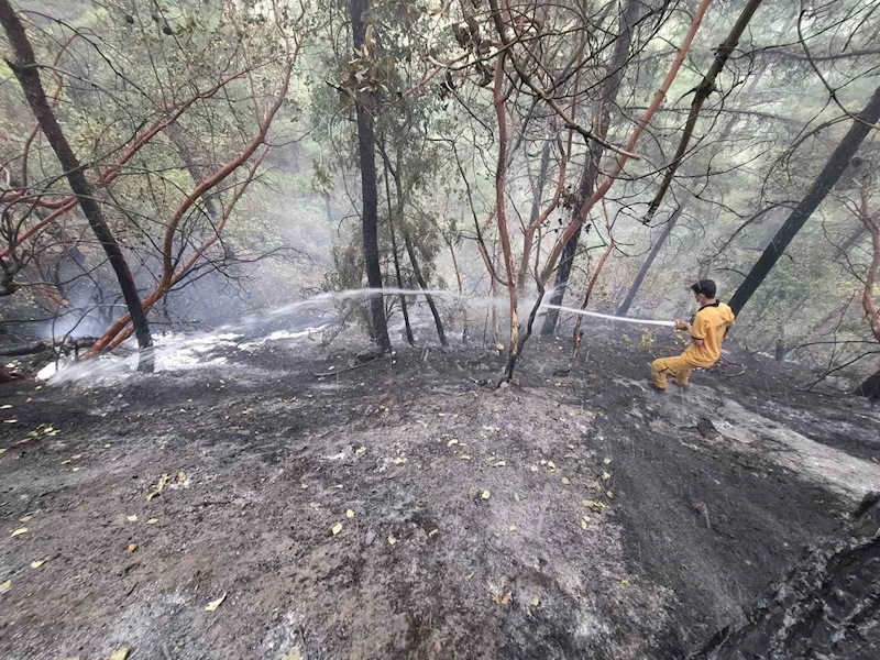 Kahramanmaraş’taki orman yangını kontrol altına alındı: 5,5 hektar zarar gördü
