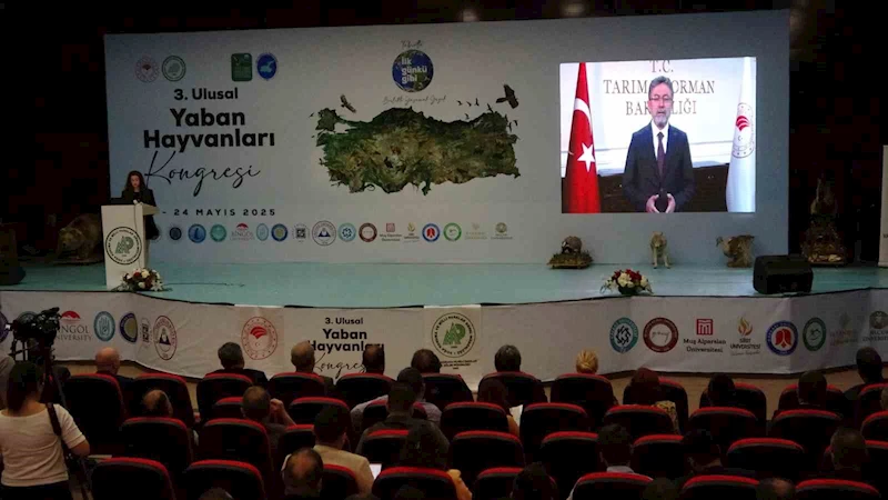 Van’da 