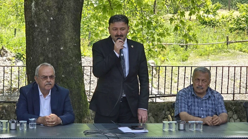 Tosun, 