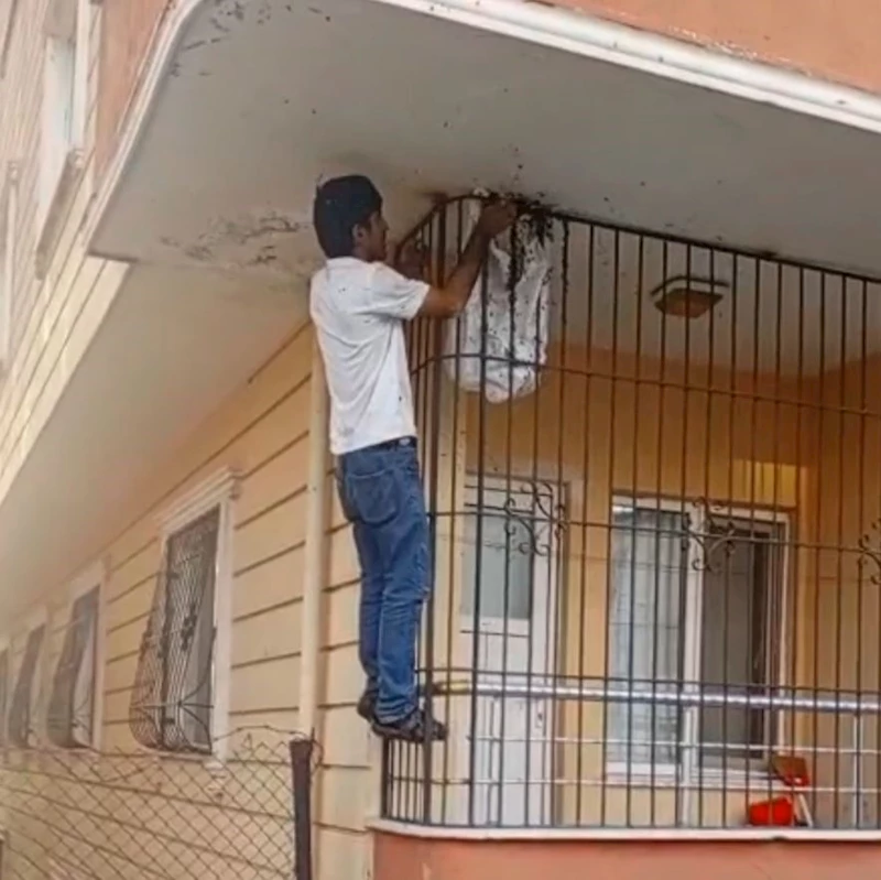 Çıplak elle yüzlerce arının arasına girdi
