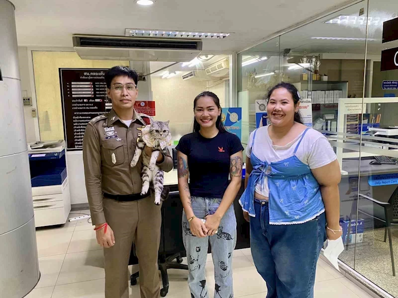 Tayland’da polisleri ısıran kedinin sabıka fotoğrafı çekildi, pati izi alındı
