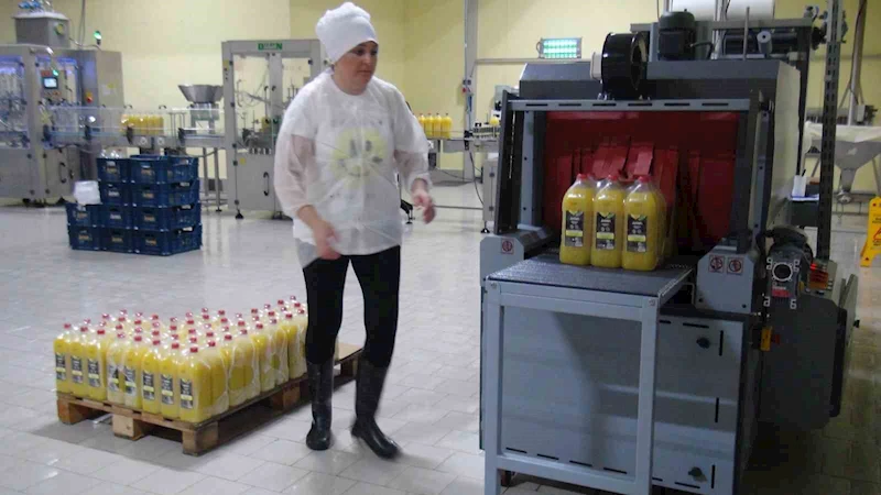 Muğla’nın ürünlerini dünyaya pazarlayacaklar
