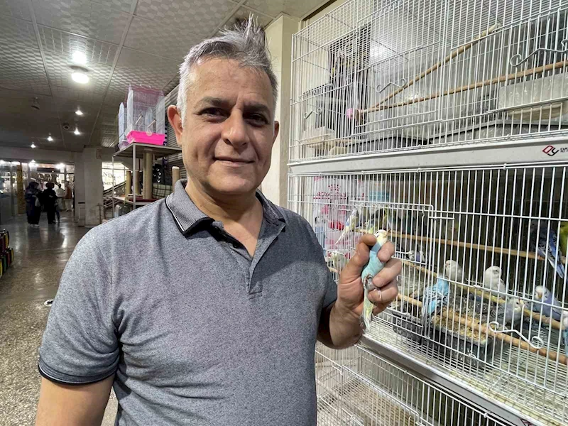 Elazığ’da muhabbet kuşlarına yoğun ilgi
